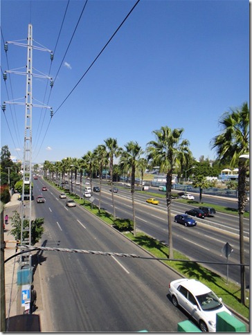 s-DSC02884 s-DSC02884