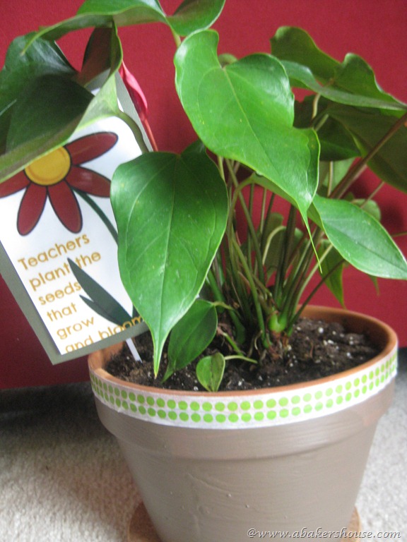 [teacher%2520bloom%2520card%255B7%255D.jpg]