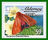 alderney d alderney d