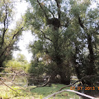 DSCN9684.JPG