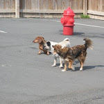 DSCN4927.jpg