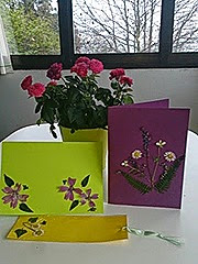 flores secas flores secas