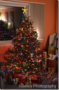 DSC_0386 DSC_0386