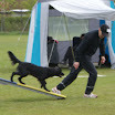 DSC00812.JPG