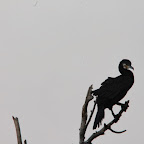 IMG_6717.JPG