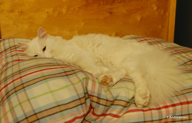 [DSC_8276%255B3%255D.jpg]