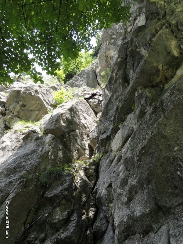 79.jpg