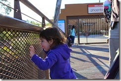 IMG_6443 IMG_6443