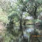 IMG_7648.JPG