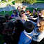 Mindaugo-168.jpg Mindaugo-168.jpg