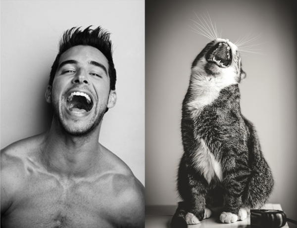 Горячие парни и котята (35 фото) | Картинка №19