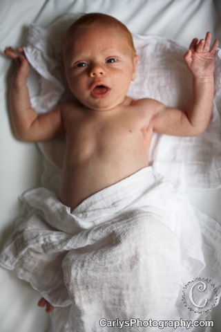 [Kyton%2527s%2520first%2520month-20%255B2%255D.jpg]