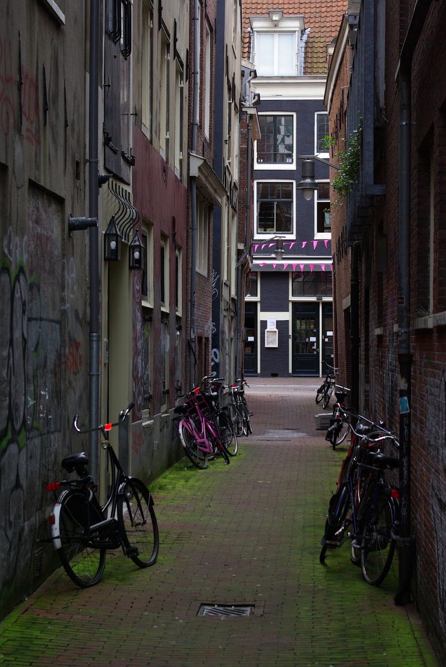 IMGP7145.JPG