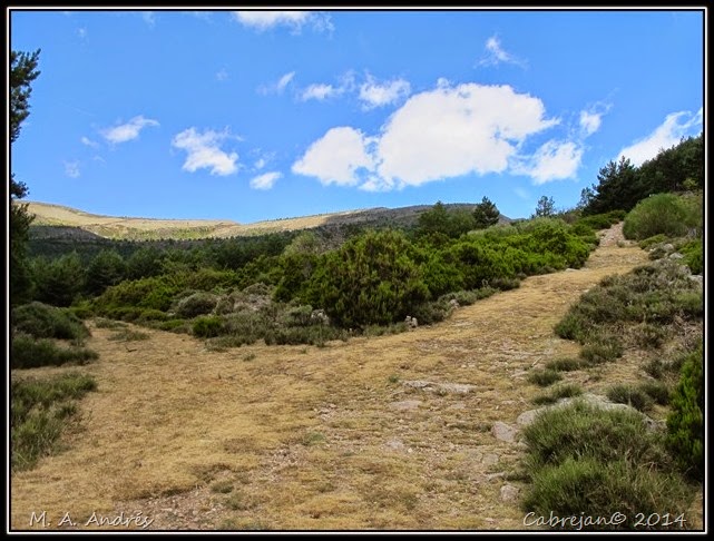 Vaca-soria 120 Vaca-soria 120