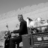Flaming mountains - Moto-truck chèvres montagnes