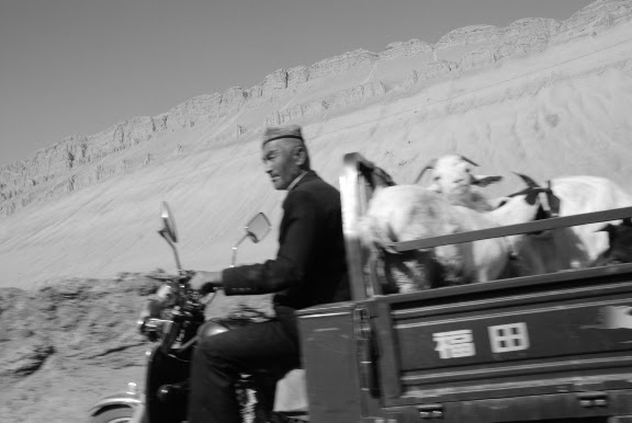 Flaming mountains - Moto-truck chèvres montagnes