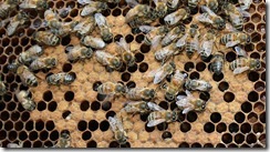 problemhive problemhive