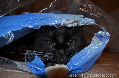 DSC_0008 DSC_0008