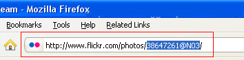 flickr photostream blogger 04