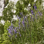 IMG_4767.jpg