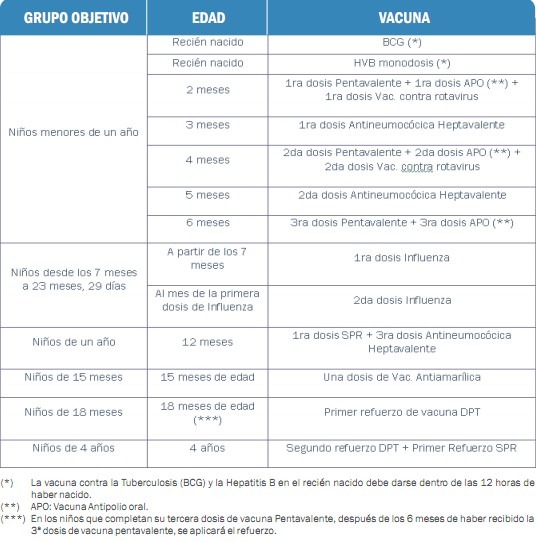 calendario de vacunacion