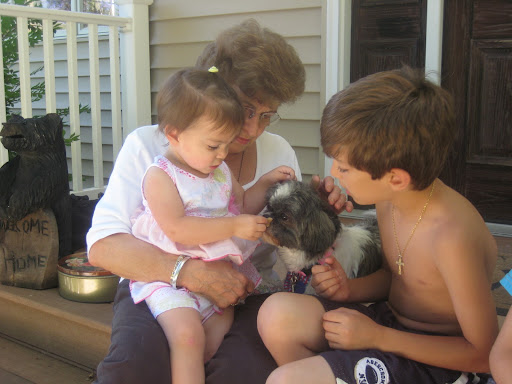 Julie shows grandchildren Theresa and John how to gently pet Rosie Julie shows grandchildren Theresa and John how to gently pet Rosie