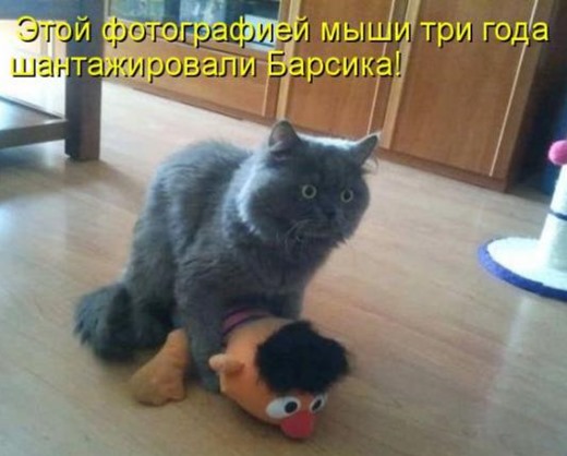 [323006e66343d69e8eefe8ab796_prev%255B3%255D.jpg]