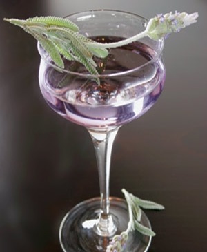 lavendarmartini lavendarmartini