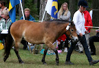 Romilla f 2007 e Ernst Romeo u Heidi e Inter