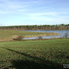 dsc07448.jpg