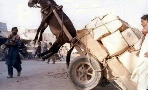It Happens only in India - Funny Pictures