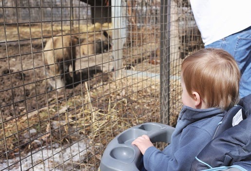 20140315 calgary zoo (139) edit