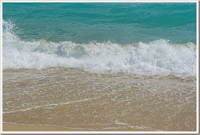 sea-public-domain-pictures-(887) sea-public-domain-pictures-(887)