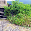 20060819_22_kenting_190.jpg