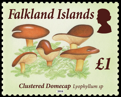 [image%255B33%255D.png]