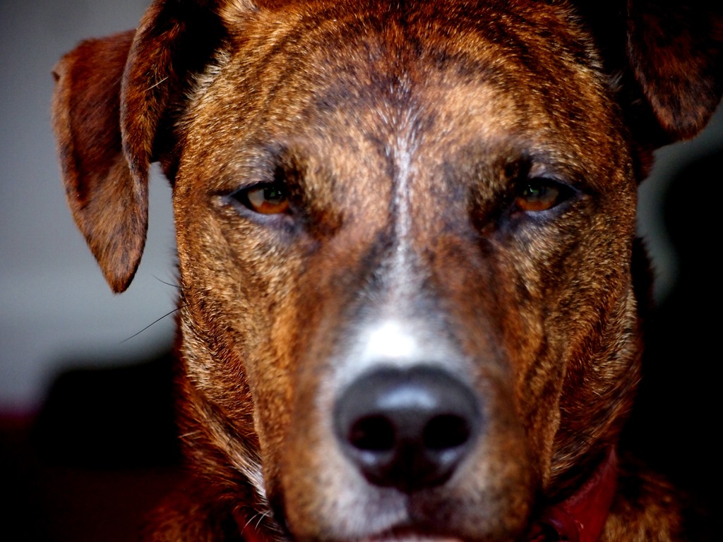 [15%2520June%252012%252013-06-2013%252011-30-56%255B3%255D.jpg]