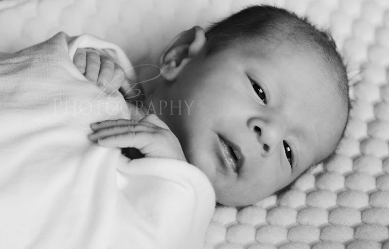 HPP_4584bw