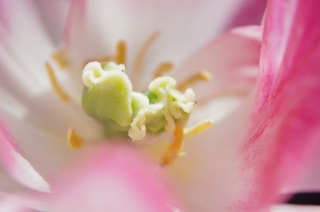 005 (640x425) 005 (640x425)