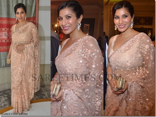 Sophie_Chaudhary_Shimmer_Saree