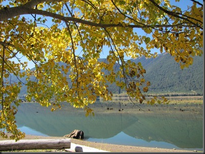 IMG_0185 IMG_0185