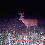 MDGC0248.JPG