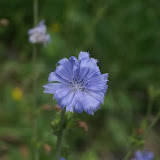 DSC09195.JPG