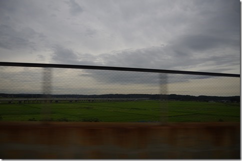 IMGP7205 IMGP7205