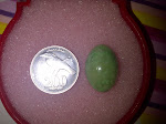 IMG-20111113-01725.jpg