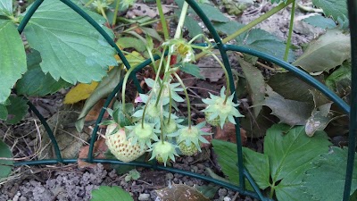2014-05-11 07.50.09.jpg