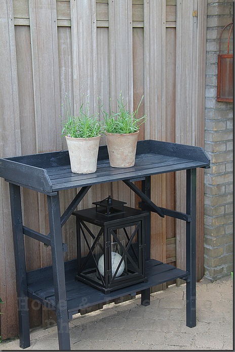 Home & Lifestyle Home & Lifestyle