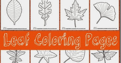 Free! Leaf Coloring Pages
