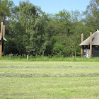 winter-hooiberg-grimbergh.2008-058.jpg