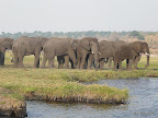 Chobe Nationalpark