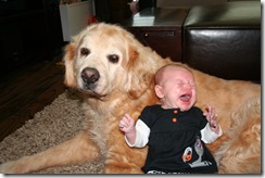 IMG_0849 IMG_0849